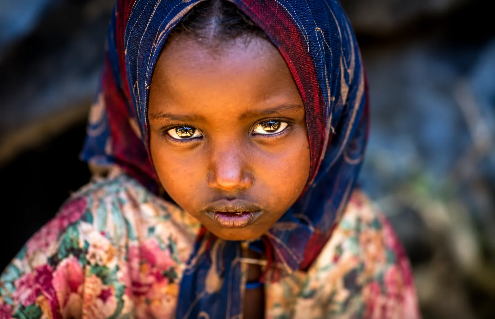 Borana : puits, sel et corbeaux buissonniers — voyage en Éthiopie